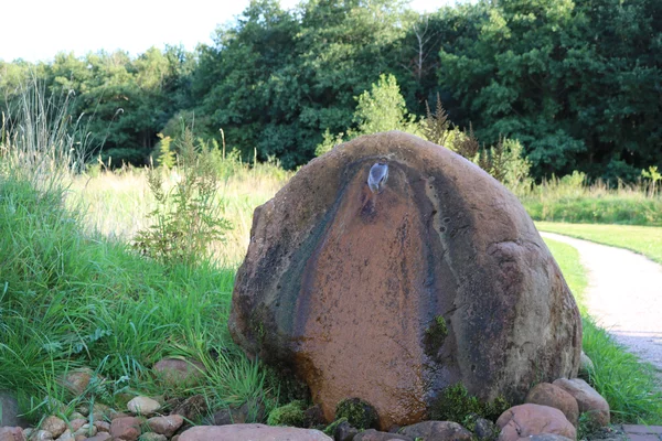 Nindorf Kimberquelle Quellstein
