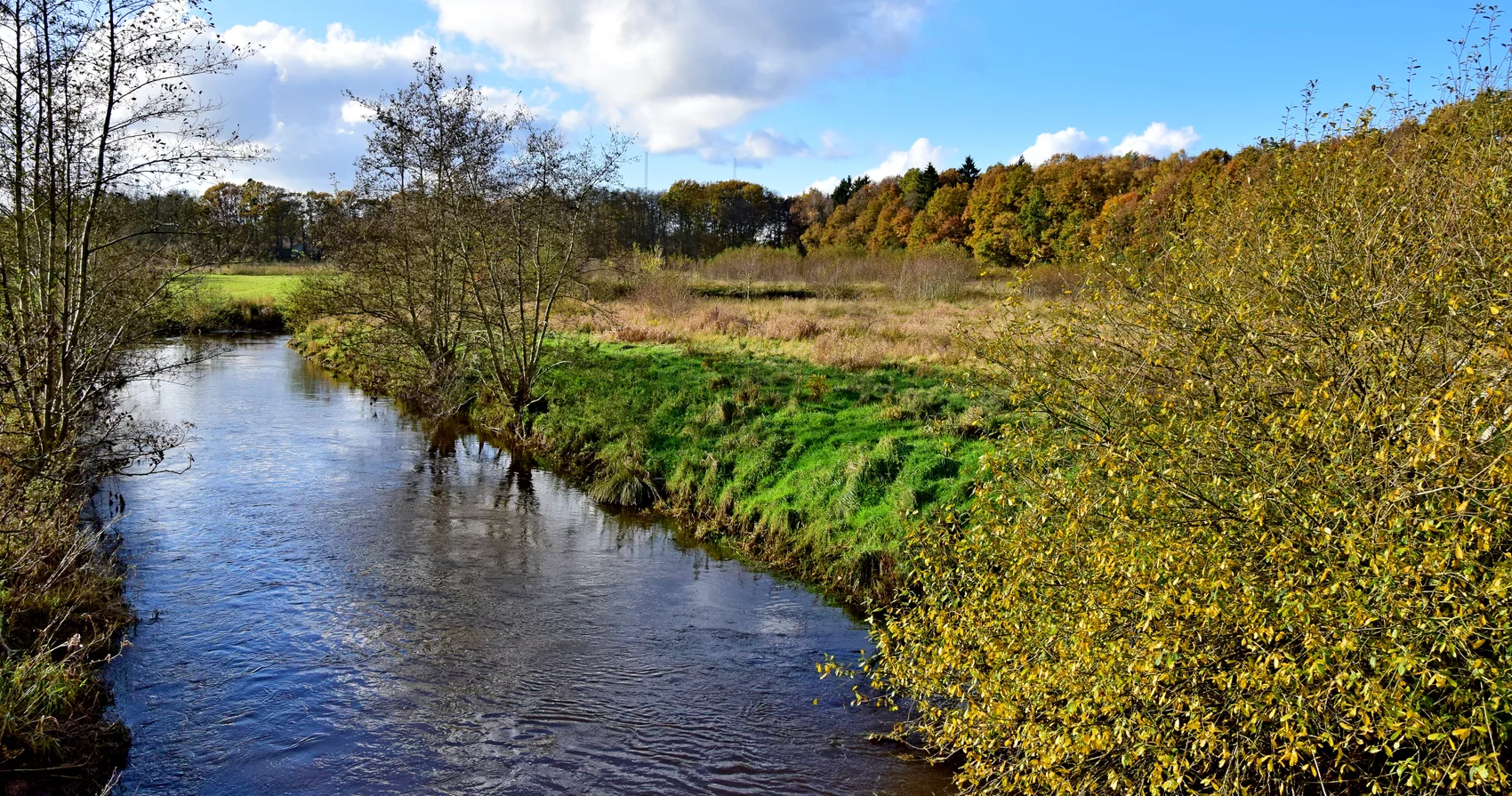 Stör in Arpsdorf