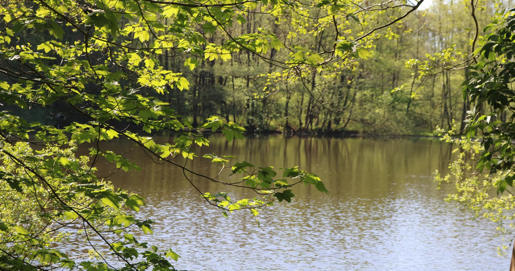 Seeblick in Thaden 