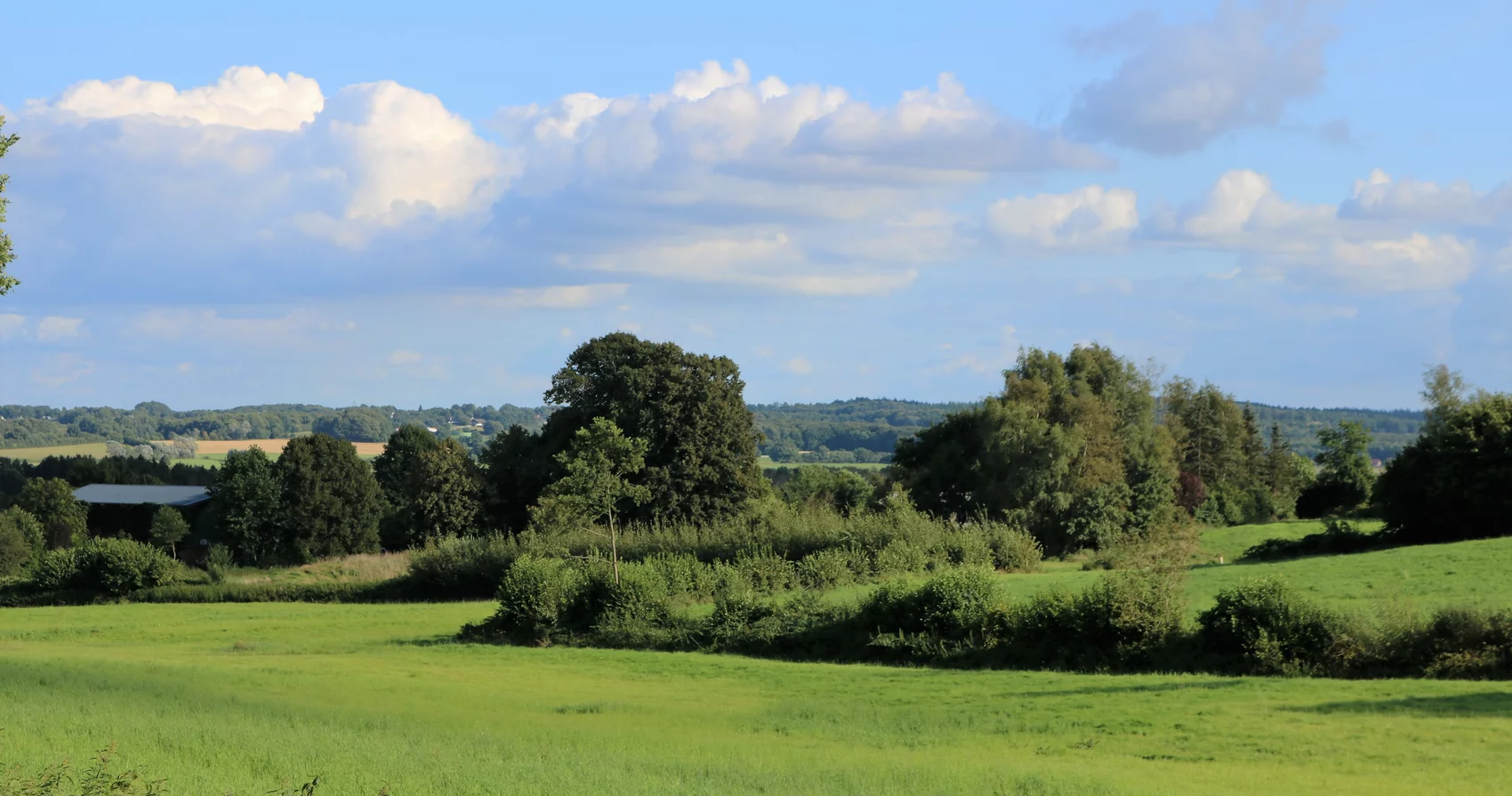 Weitblick in die Natur um Tappendorf