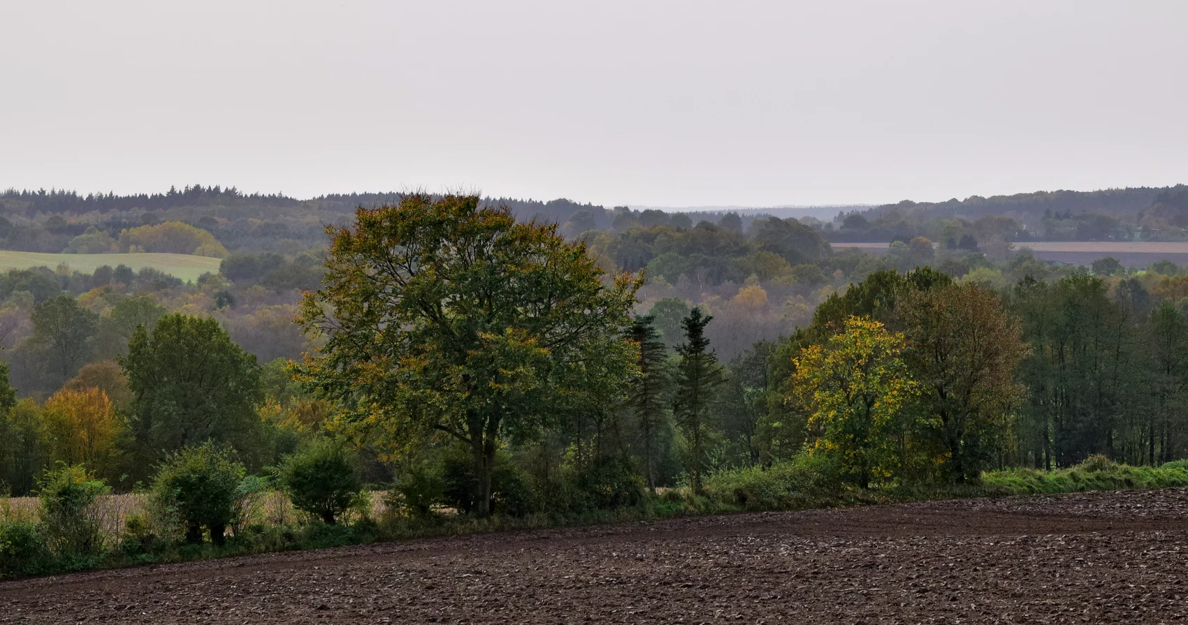 Ausblick vom höchsten Punkt in Grauel 